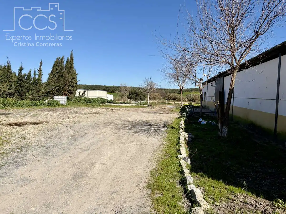Finca rústica de lloguer en Pilas