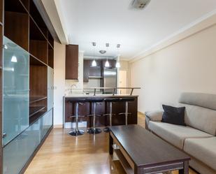 Living room of Flat to rent in  Madrid Capital  with Air Conditioner and Heating