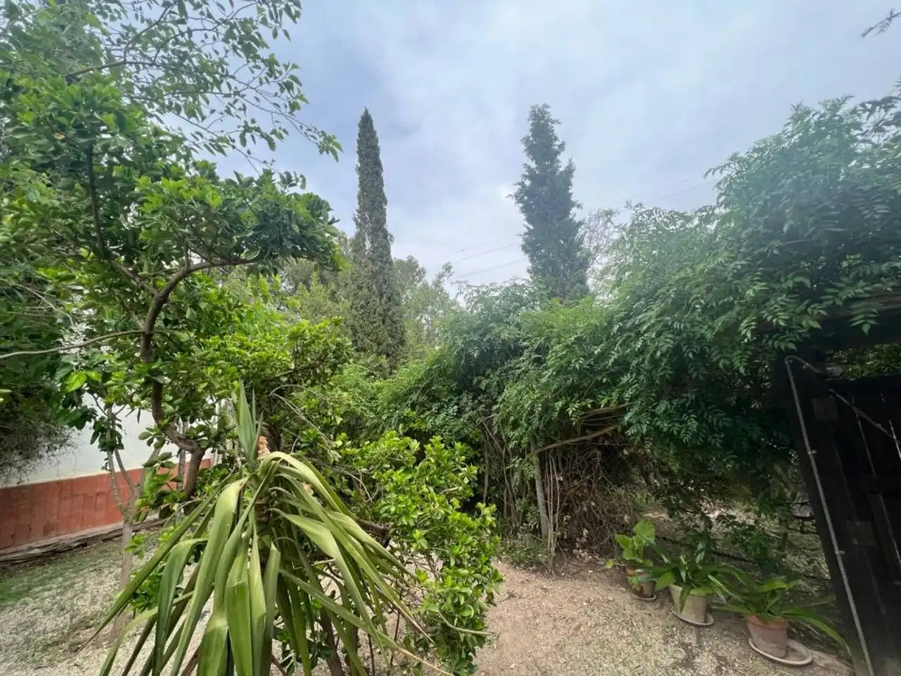 Terreno rústico en venta en Monforte del Cid, imagen 96