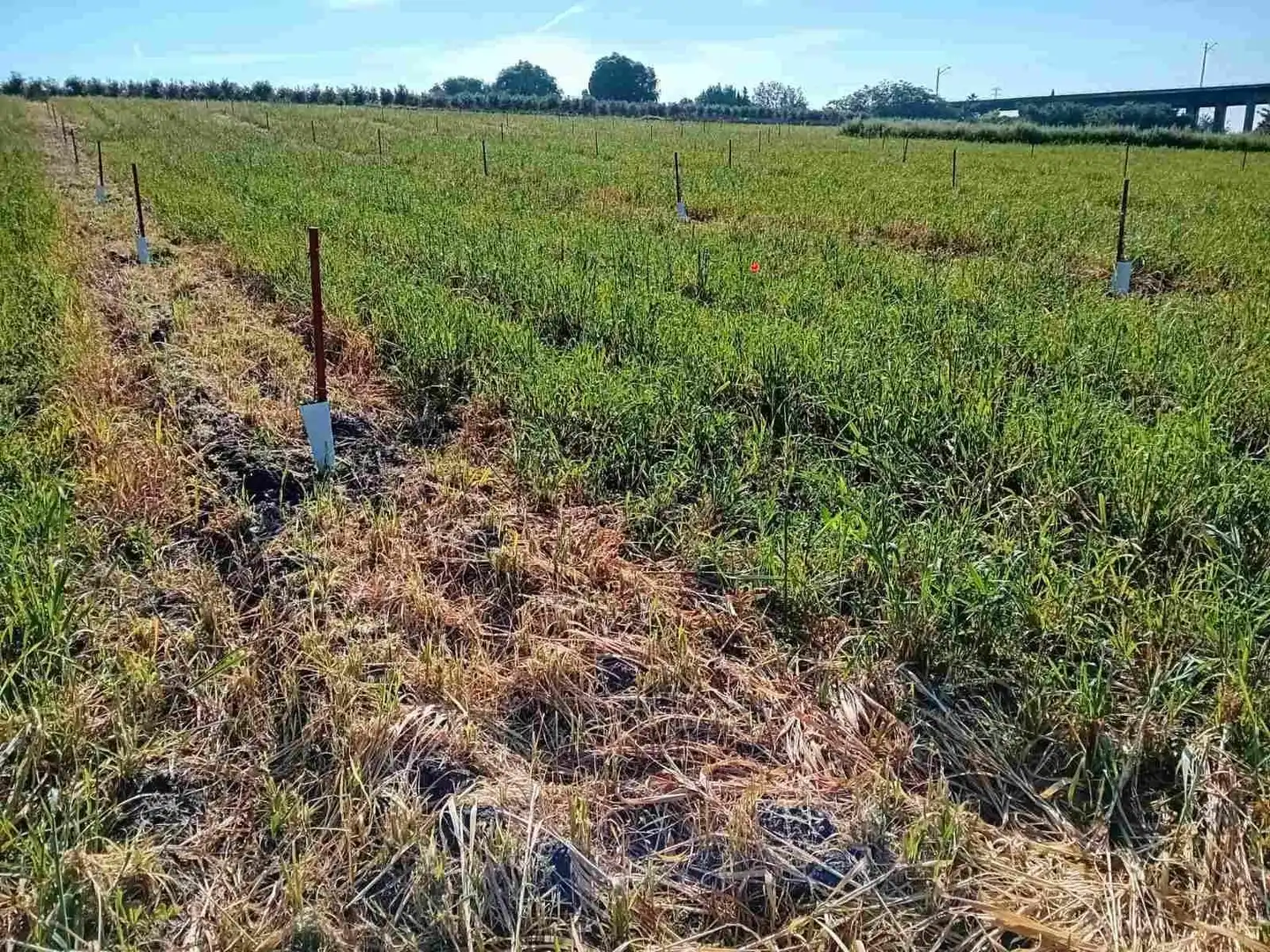 Grundstücke und Bauplätze zum Verkauf in Periurbano Oeste - Sierra, imagen 12
