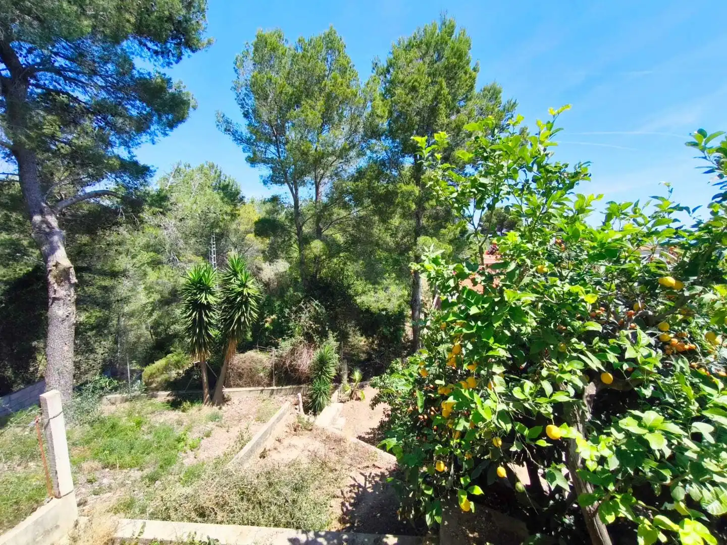 Detached house with terrace for sale in Llaurí, imagen 61