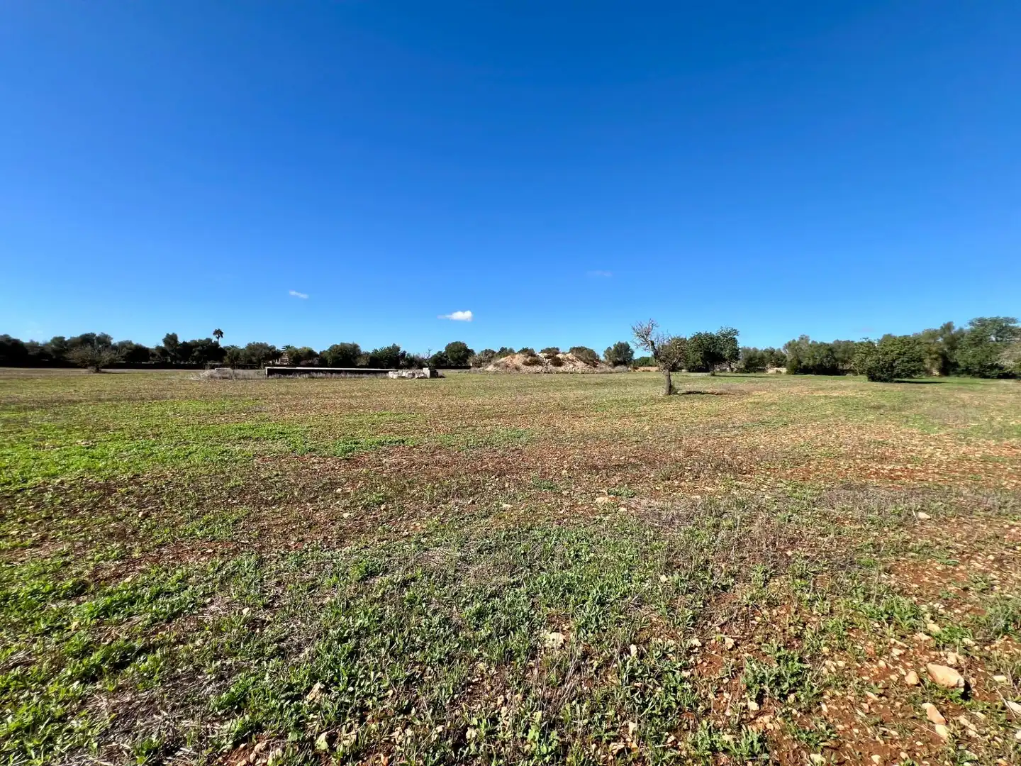 Lands and plots for sale in Zona Rústica - Interior, imagen 14