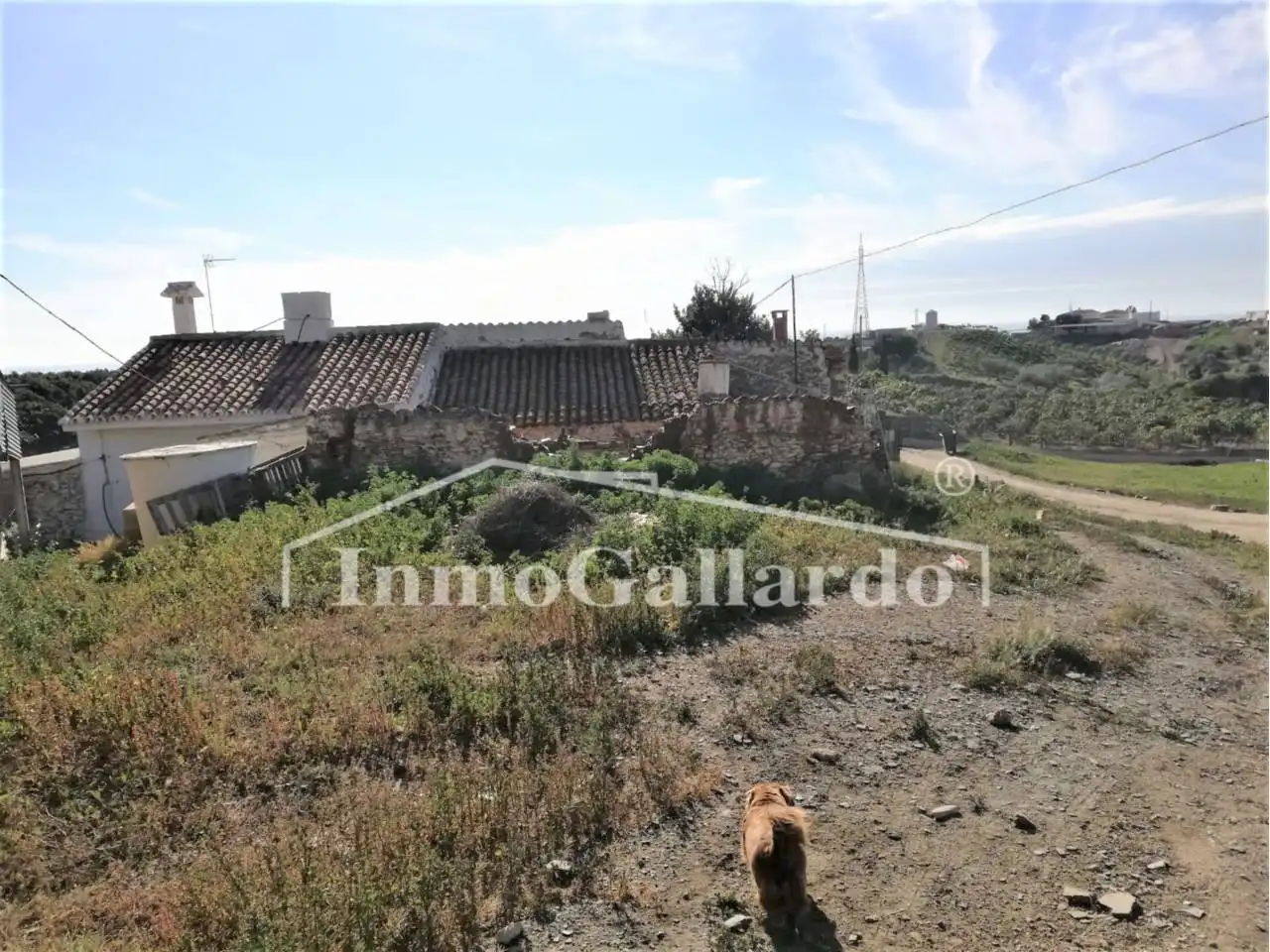 Finca rústica en venda en Vélez-Málaga amb Jardí privat