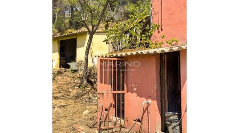 Foto 5 de Finca rústica en venda a Tordera pueblo, Tordera