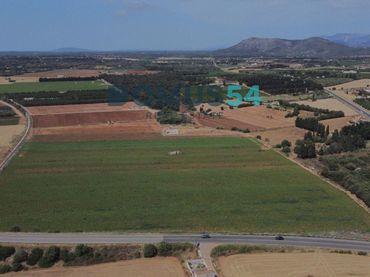 Terreno rústico en venta en Llubí
