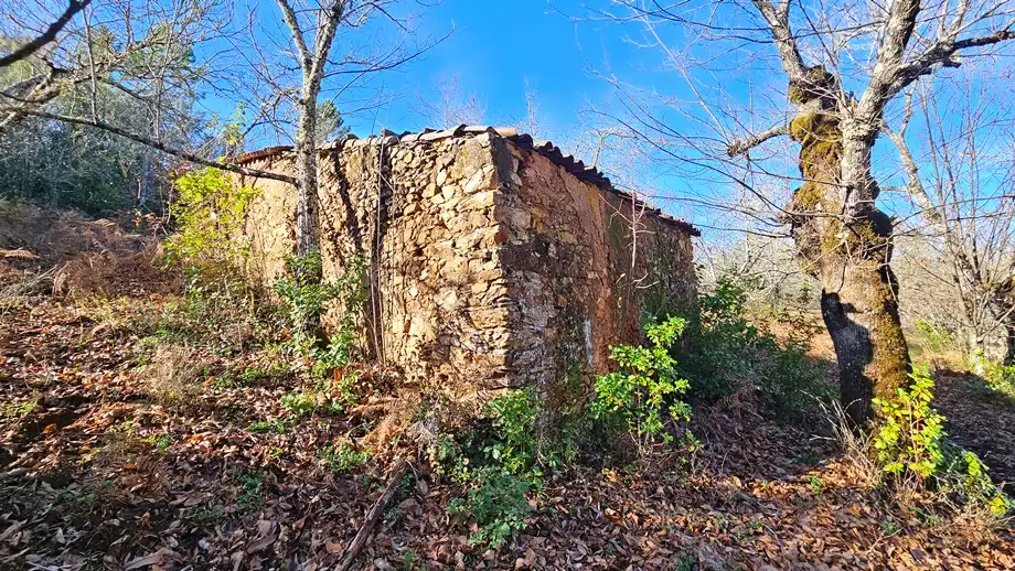Terreni e lotti in vendita a Galaroza