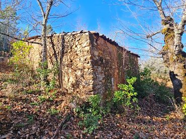 Terreno rústico en venta en Galaroza
