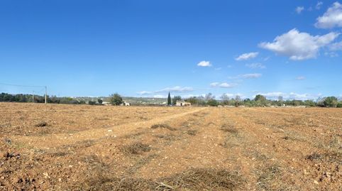 Photo 5 of Land for sale in Ma-3321, Manacor Centre, Manacor
