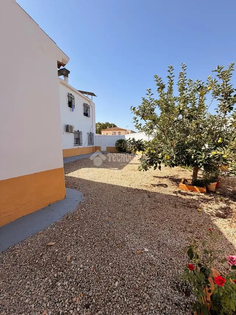 Detached homes for sale in Centro