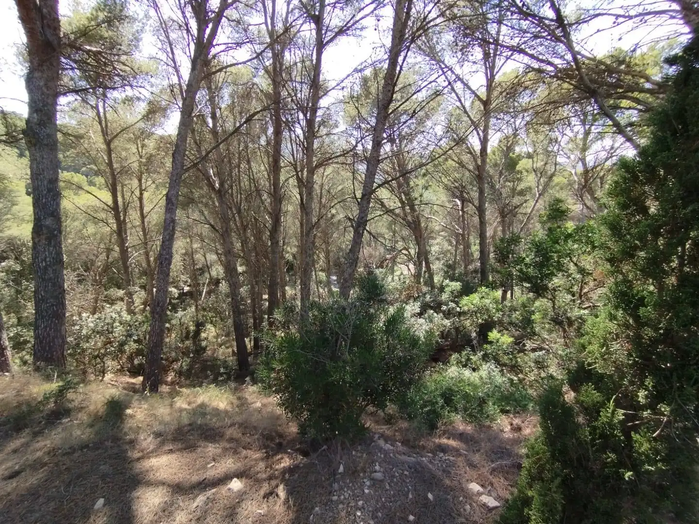 Residencial en venta en Begur