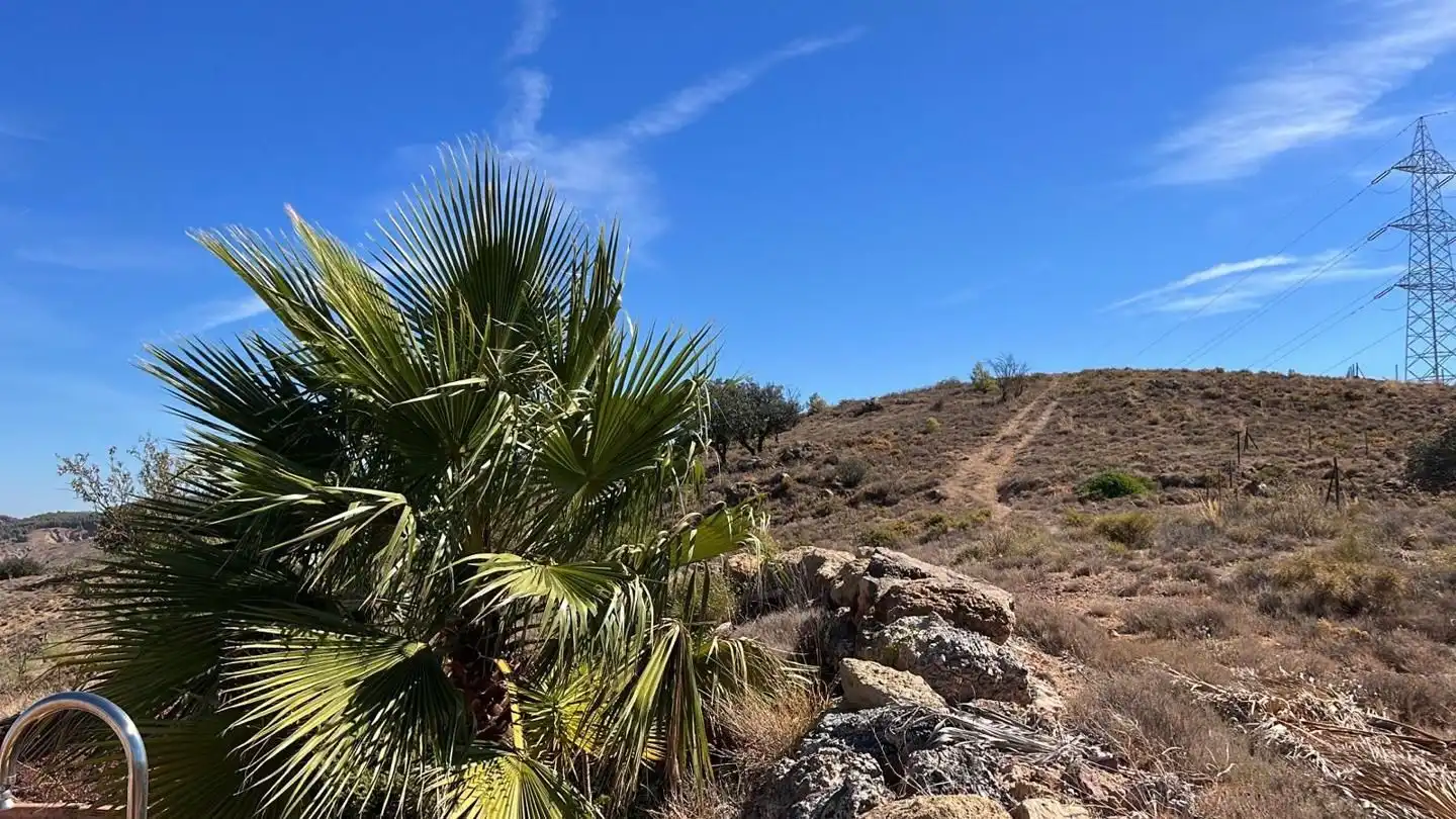 Lands and plots for sale in Cueva de Menga, imagen 29