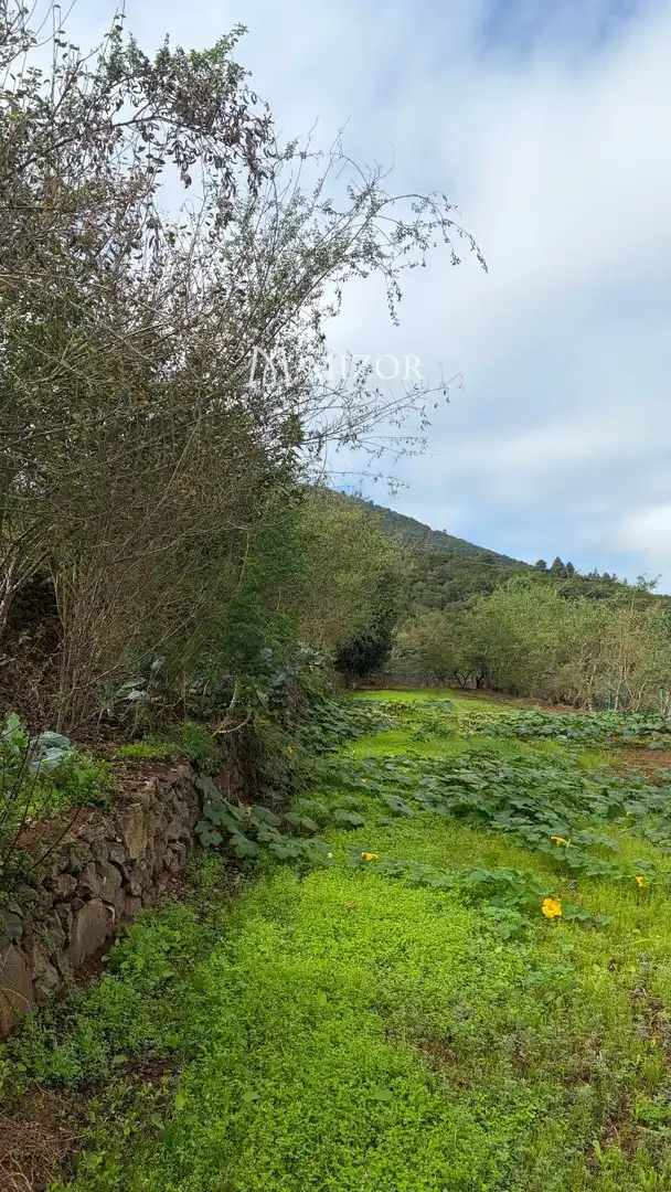 Rural land for sale in el rodeo, imagen 11