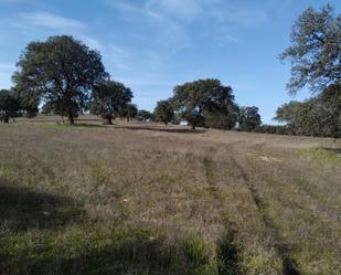 Grundstücke zum verkauf in El Viso