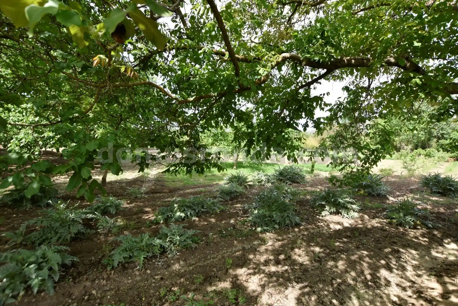 Country homes for sale in Ronda  with Terrace, Storage room and Swimming Pool