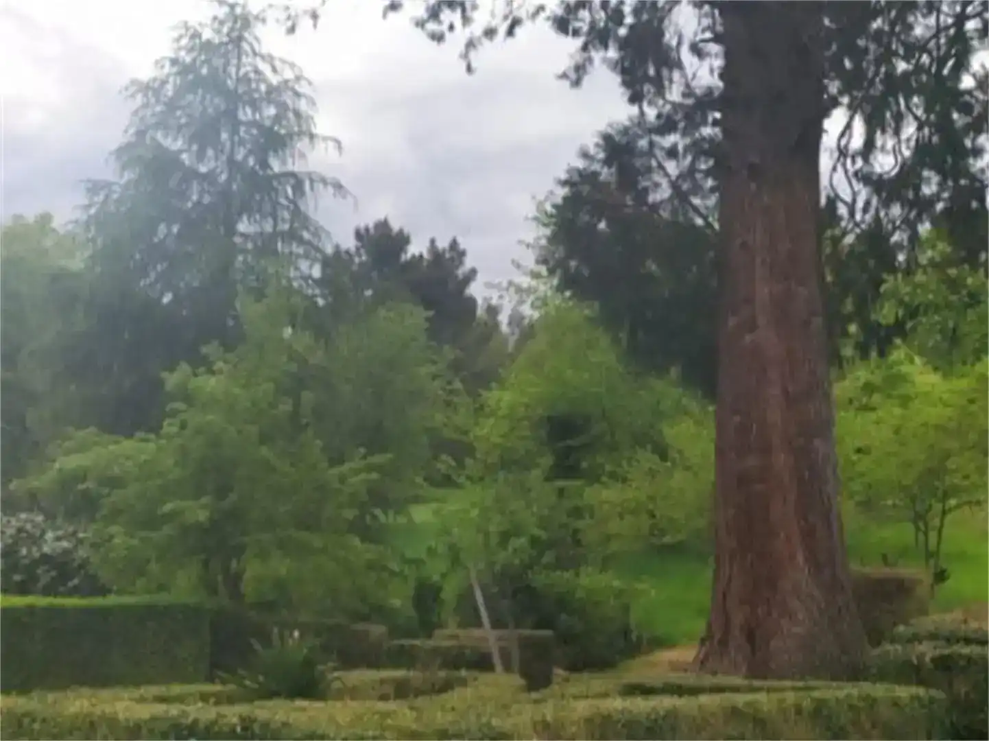 Jardí de Finca rústica en venda en Ribas de Sil