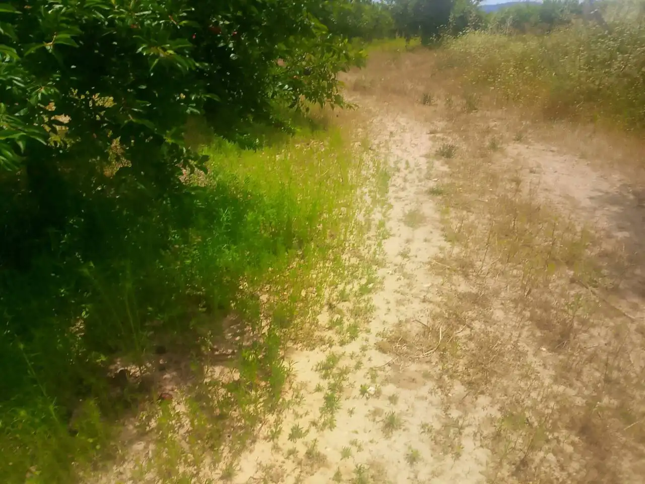 Land for sale in Bélgida