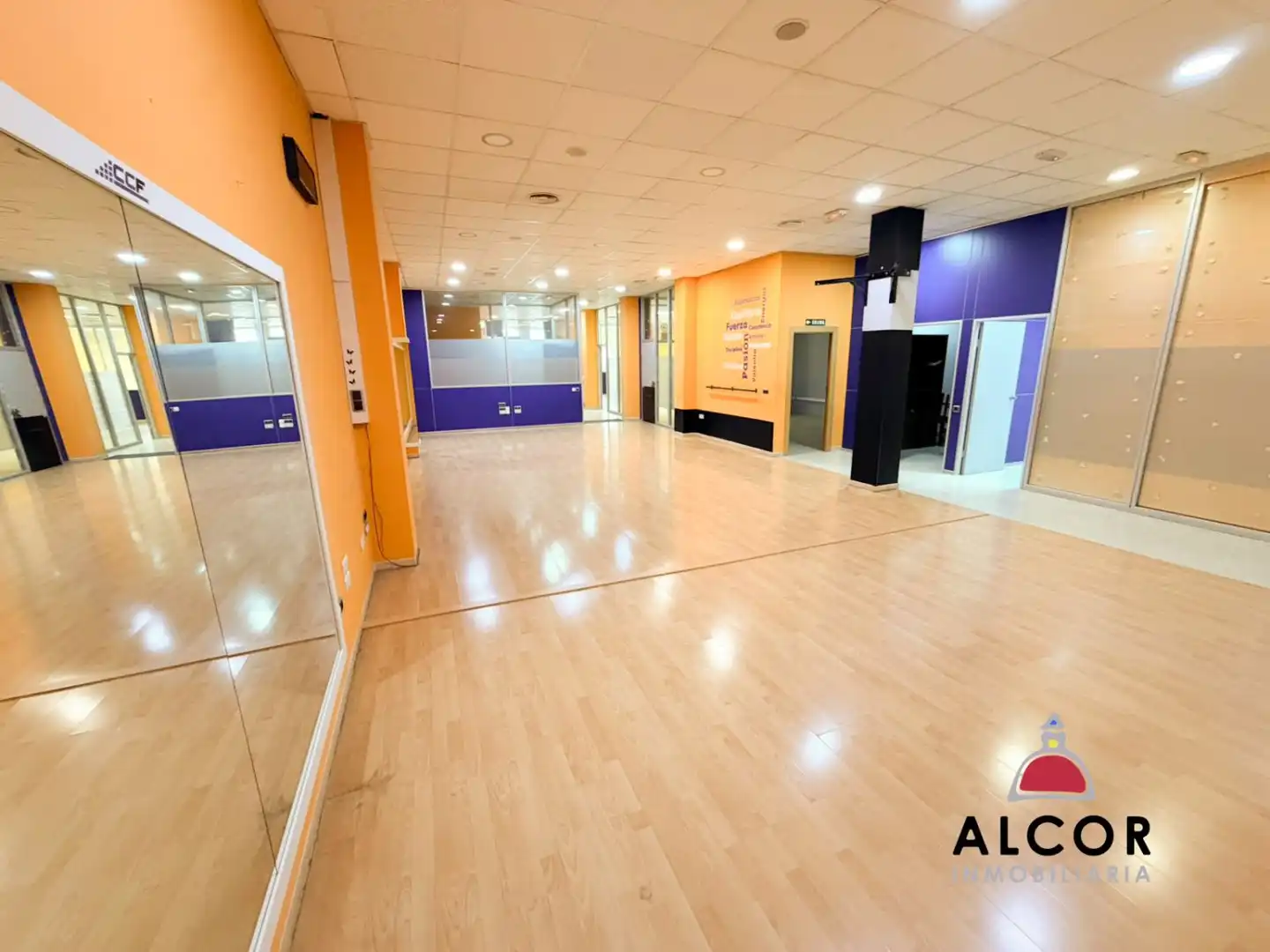 Commercial properties for rent in Puerto