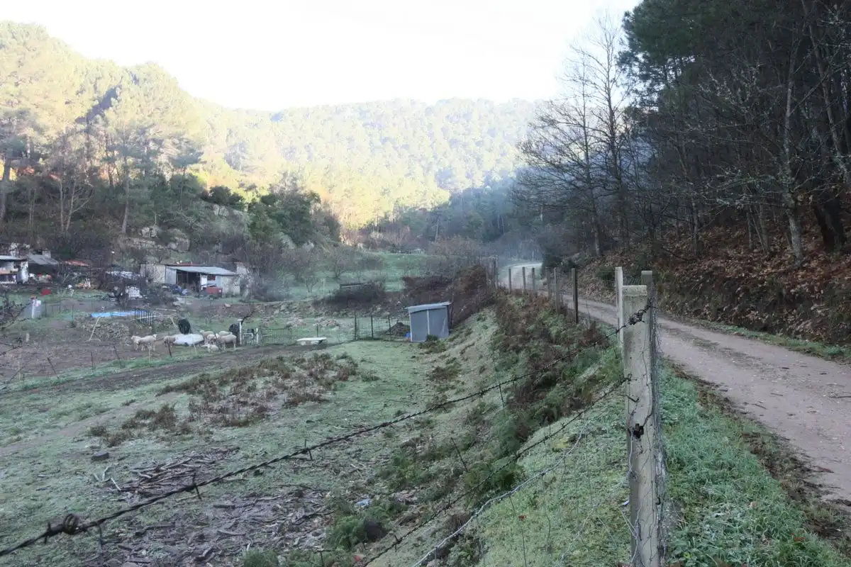 Terreni e lotti in vendita a Arenas de San Pedro, imagen 21