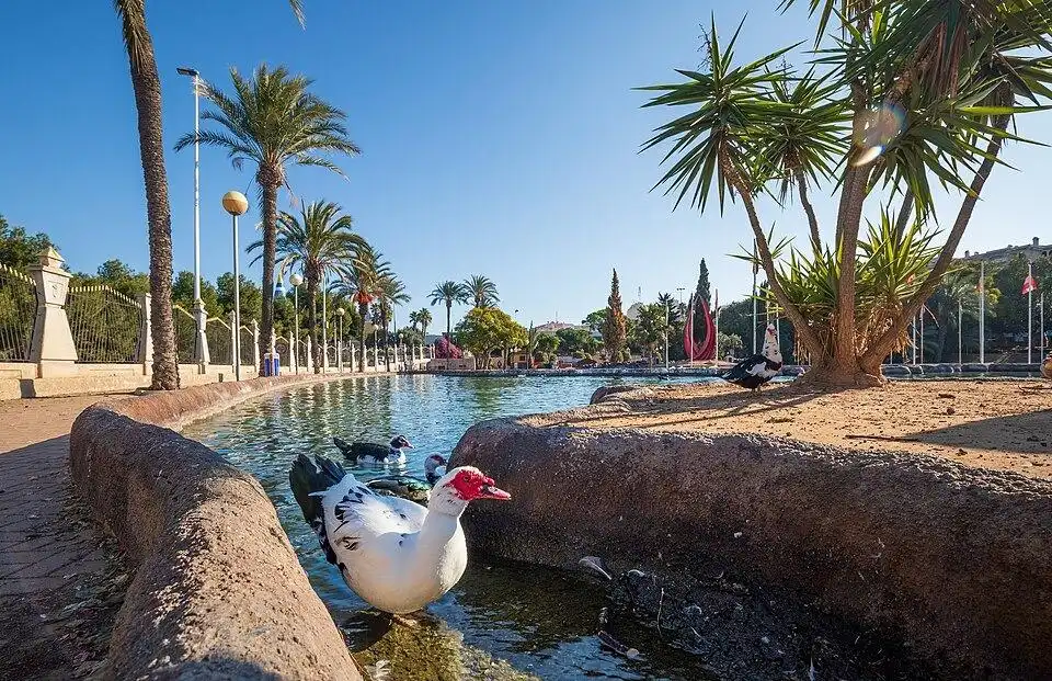 Vista exterior de Apartamento en venta en Torrevieja con Terraza y Amueblado