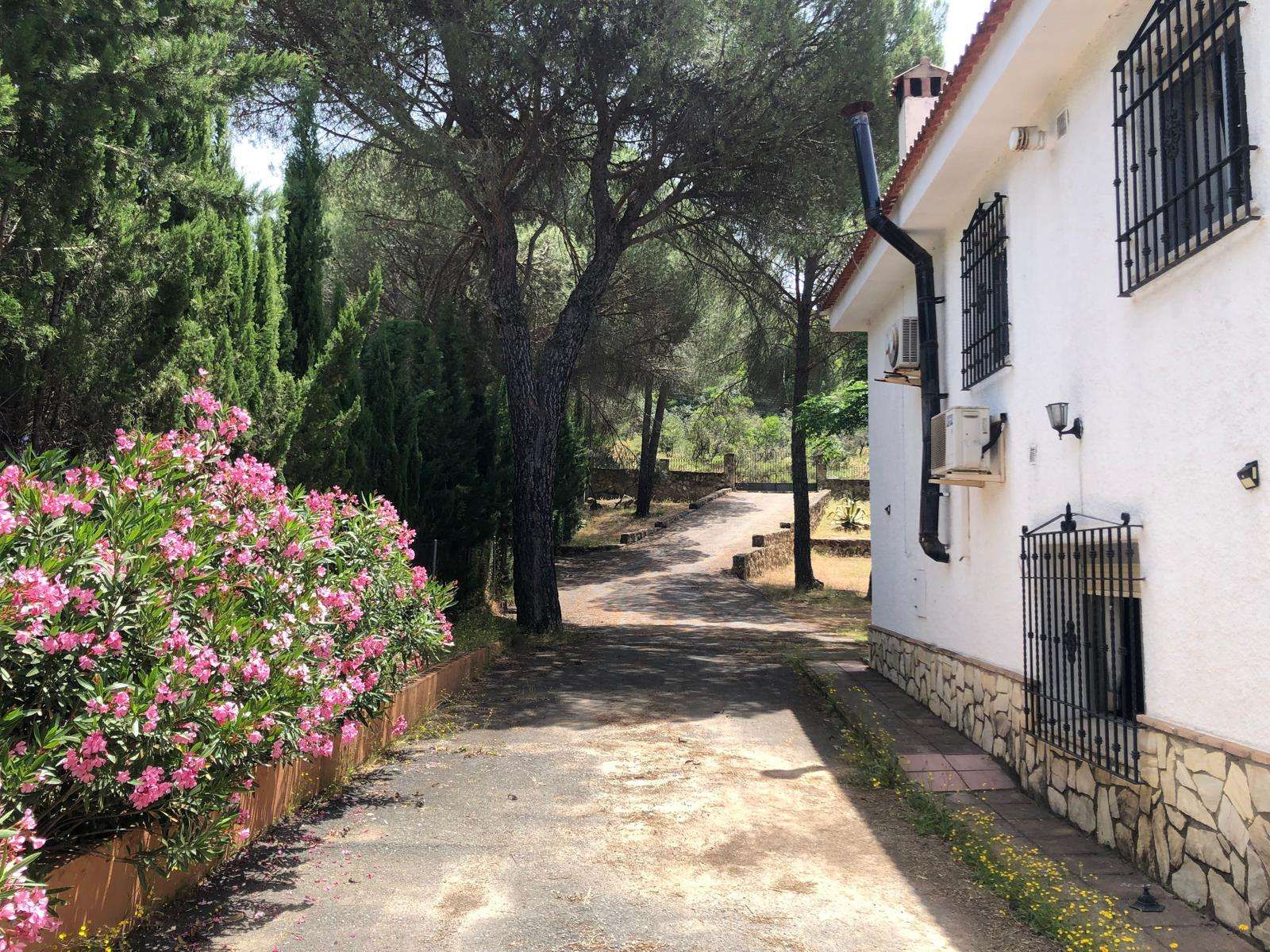 Garden of Apartment to share in  Córdoba Capital  with Air Conditioner and Terrace