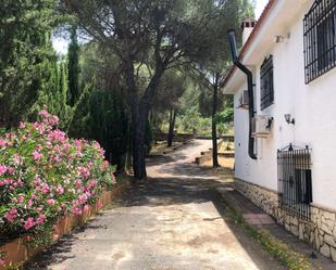 Jardí de Apartament per a compartir en  Córdoba Capital amb Aire condicionat i Terrassa