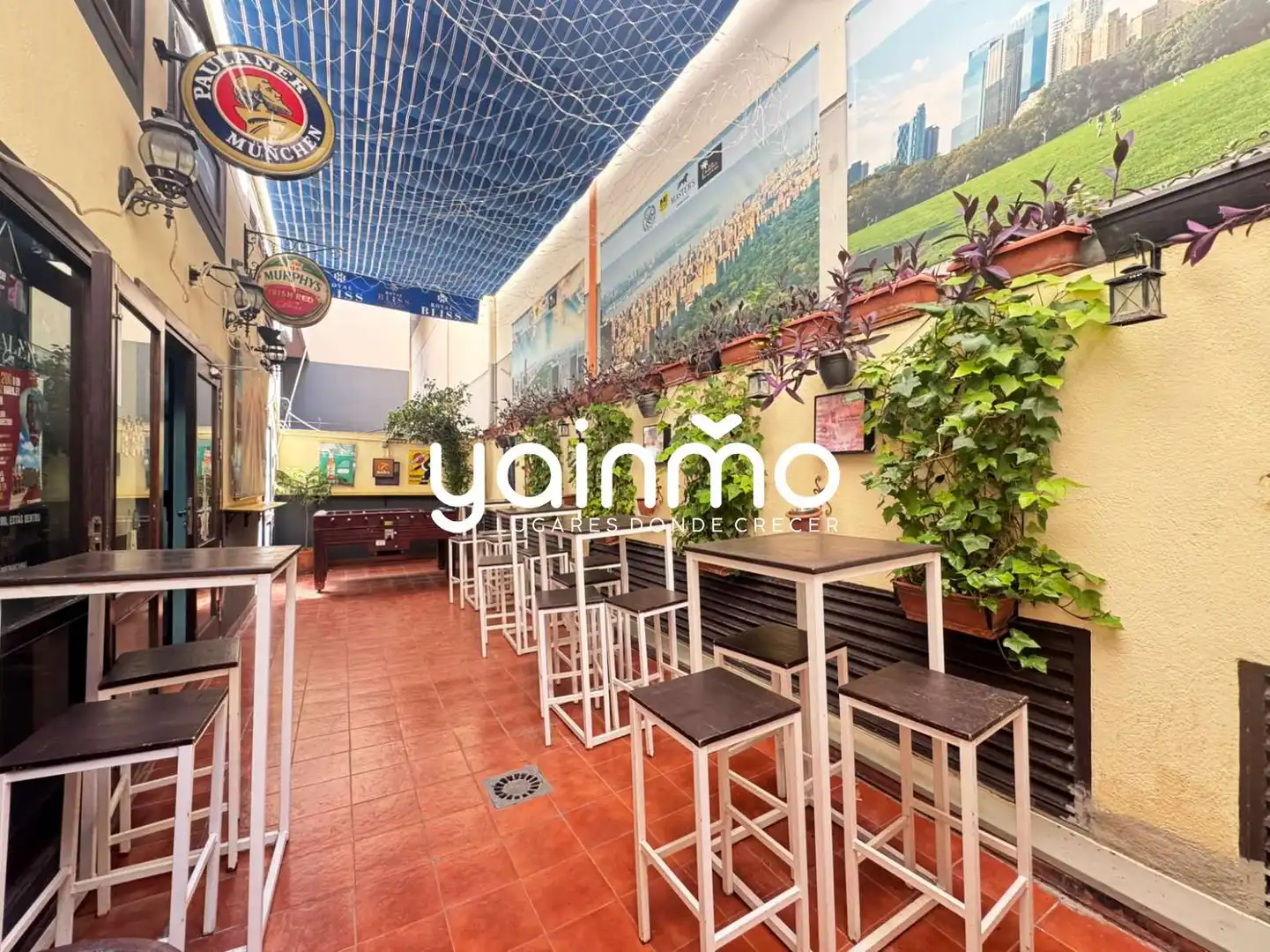 Local comercial en traspaso en Jaén - Esteban Ramírez 2, imagen 12