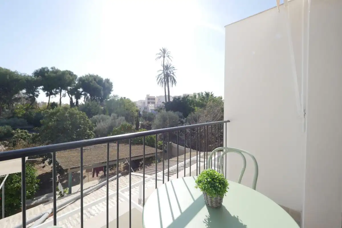 Jardí de Estudi de lloguer en Sant Joan d'Alacant amb Aire condicionat, Terrassa i Balcó