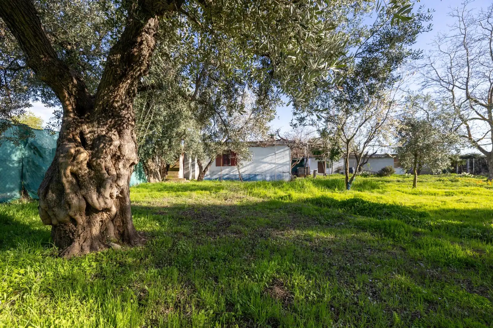 Casa o chalet en venta en Villa de Otura