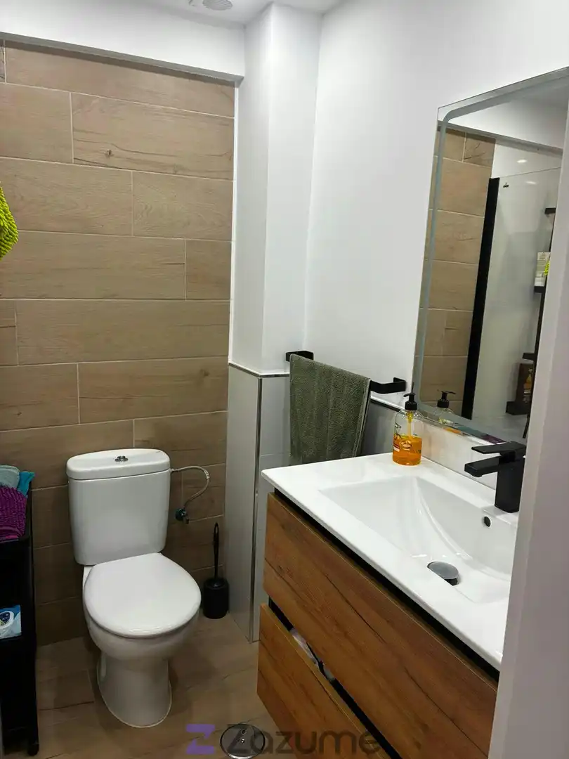 Bathroom of Flat for rent in Las Palmas de Gran Canaria  with Furnished, Oven and Washing machine