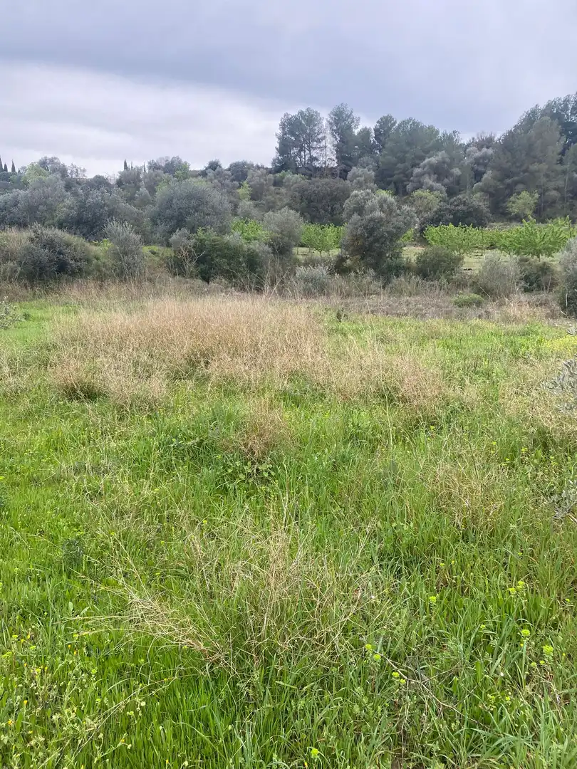 Lands and plots for sale in Ginestar, imagen 9