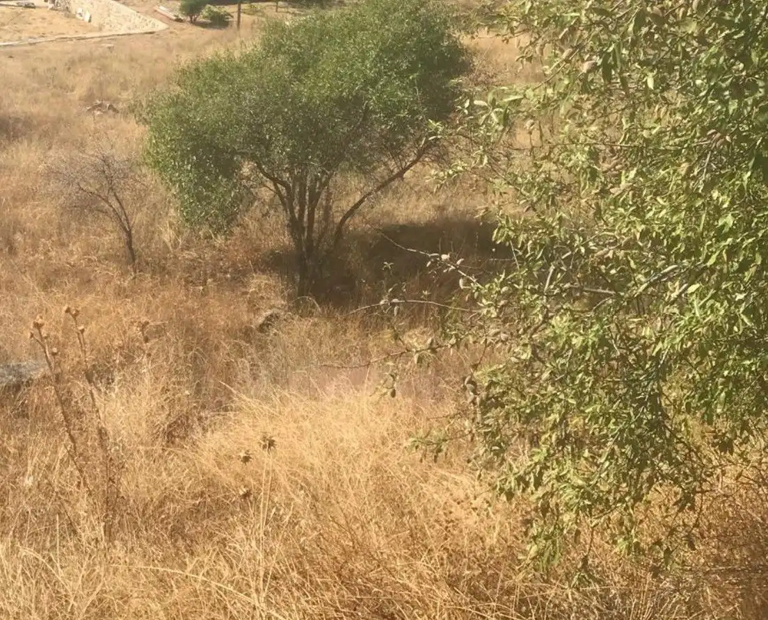 Finca rústica en venda en Orusco de Tajuña