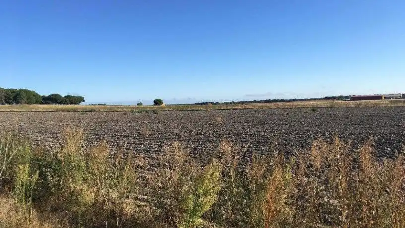 Rustikales Grundstück zum Verkauf in La Zarza (Valladolid), imagen 4