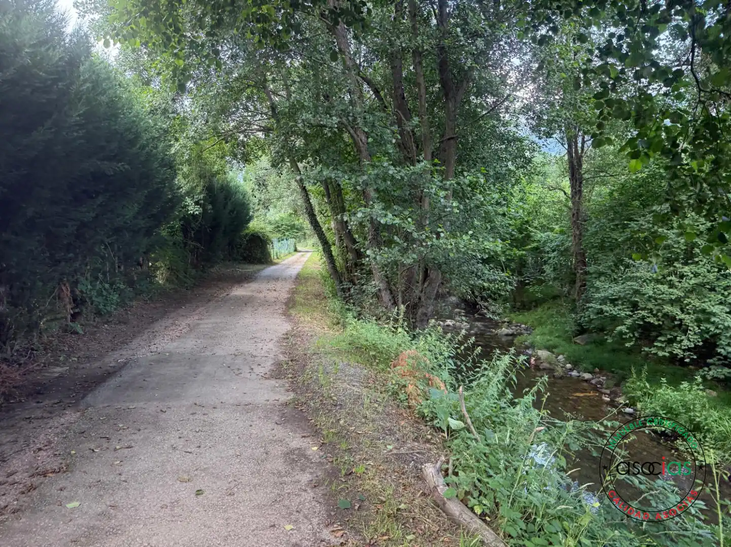 Exterior view of Land for sale in Quirós