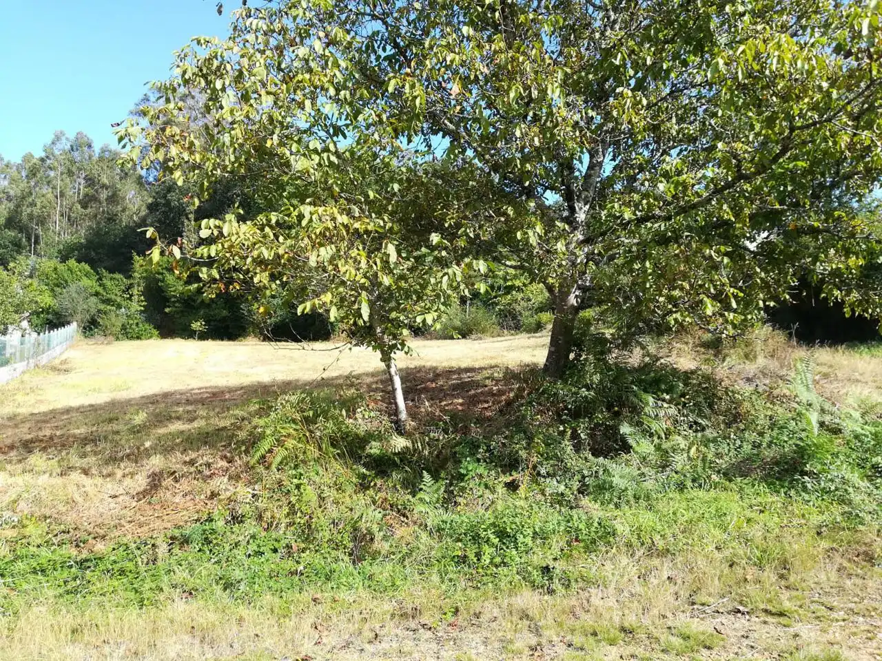 Country homes for sale in O Pino 