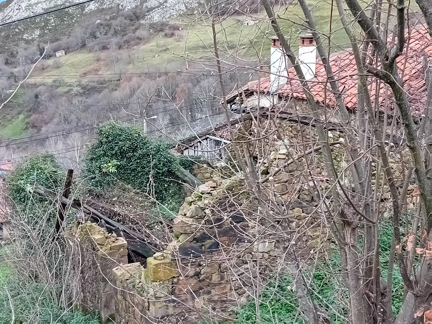 Vista exterior de Finca rústica en venta en Amieva