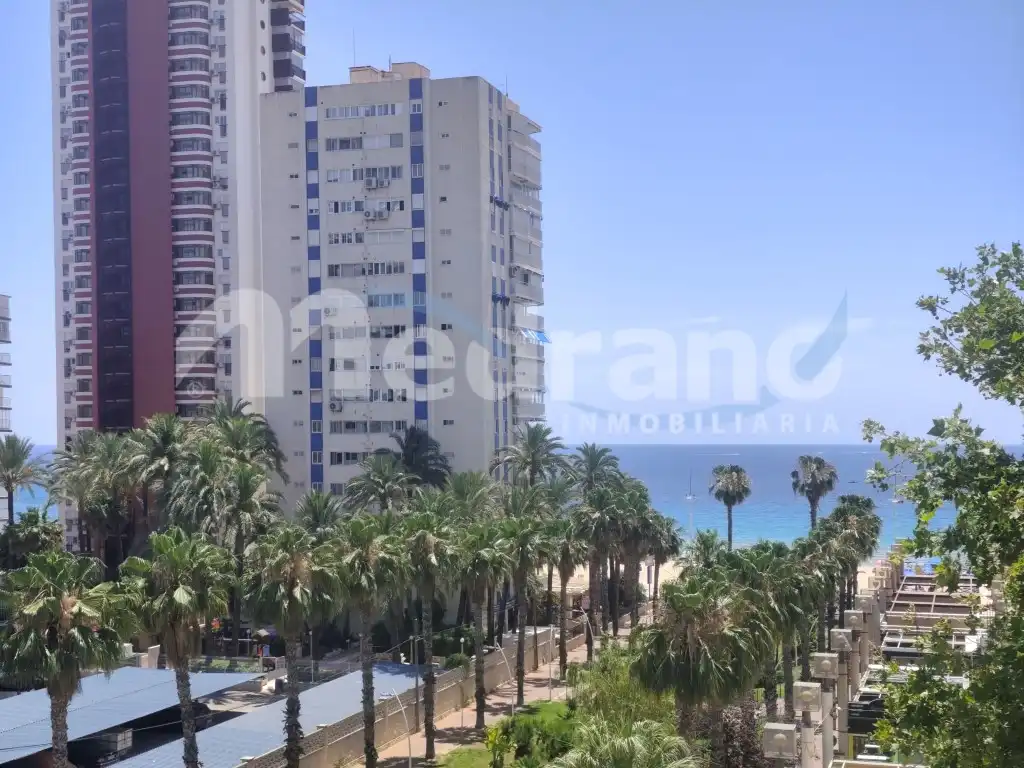 Vista exterior de Apartamento en venta en Benidorm con Aire acondicionado y Terraza