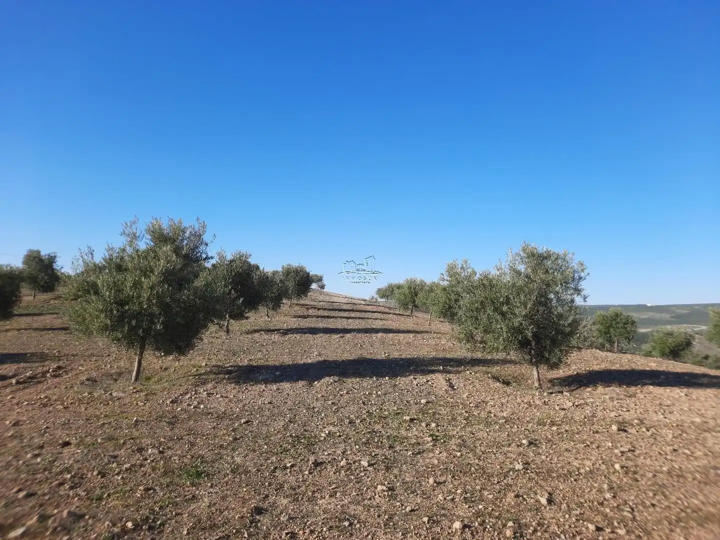 Terreno residencial en venta en Jauja, imagen 12