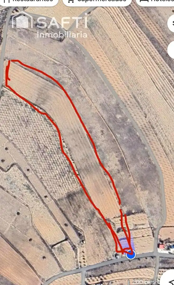 Terreny rústic en venda a Monóvar  / Monòver, imagen 5