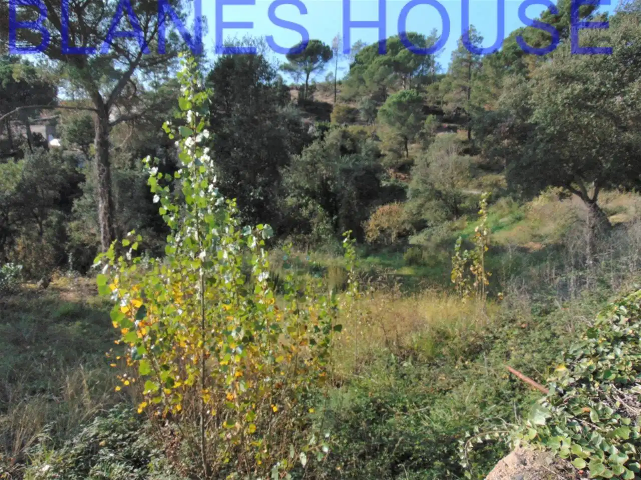 Terreno residencial en venta en Calle Madaleta, imagen 2