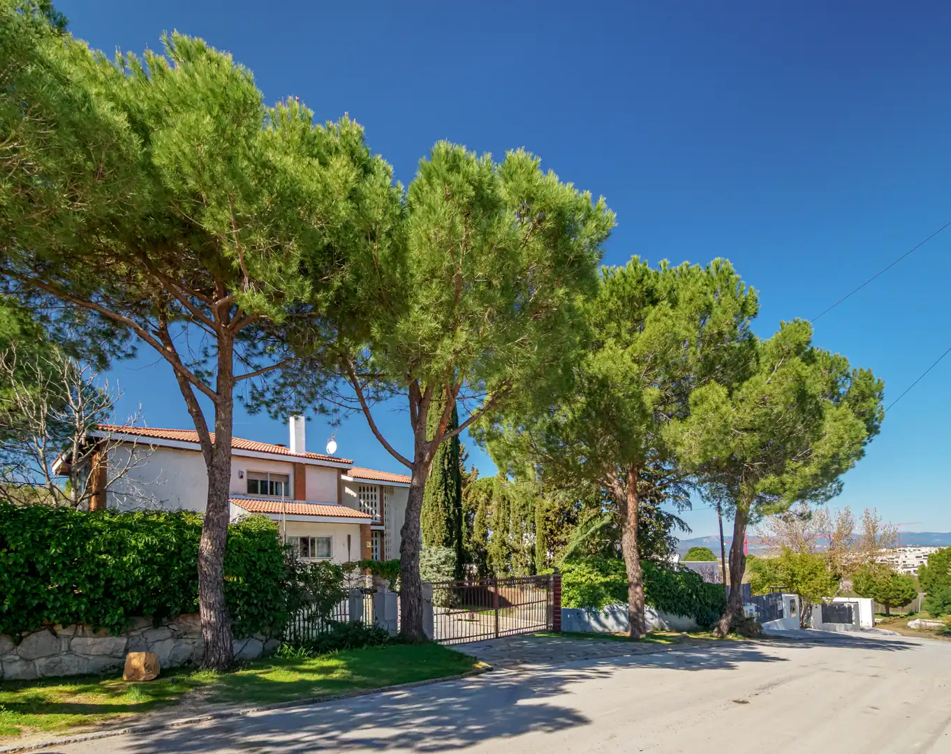Vista exterior de Casa o chalet en venta en Boadilla del Monte con Calefacción, Jardín privado y Terraza