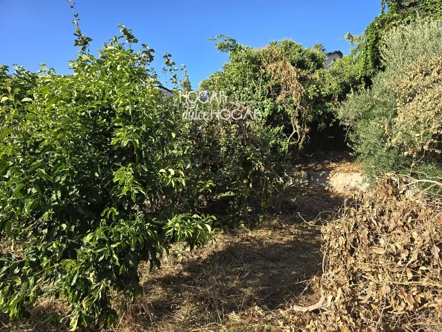 Casa o xalet en venda en Piera amb Piscina
