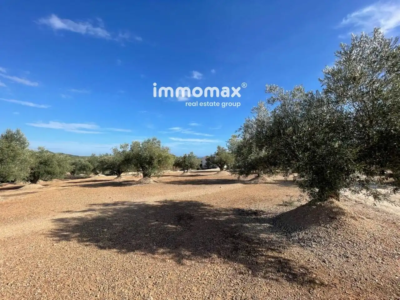 Casa o xalet en venda en Camarles amb Terrassa, Piscina i Moblat