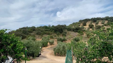 Foto 5 de Finca rústica en venta en Zagra, Granada