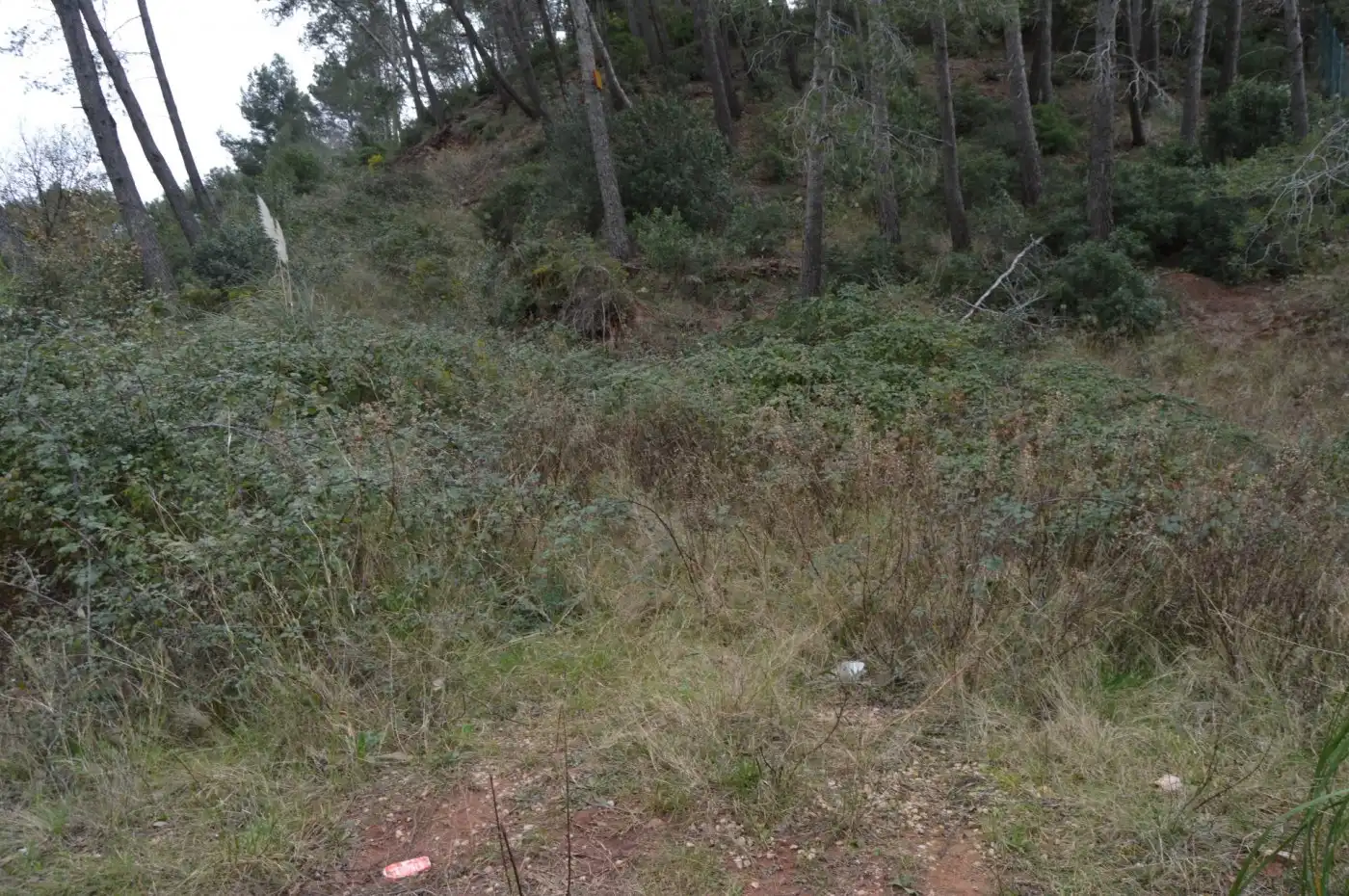 Wohnbaugrundstück zum Verkauf in Corbera de Llobregat, imagen 28
