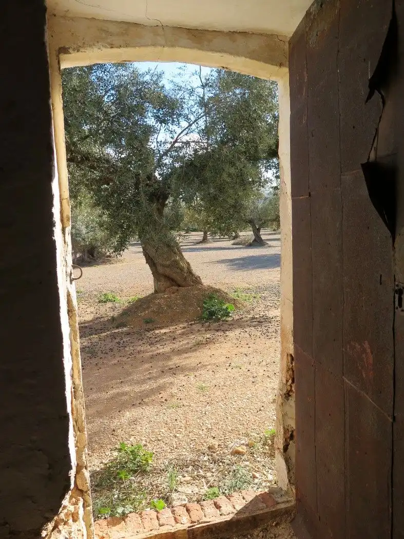Terreno rustico in vendita a Carrer 2 Vila. Llarga, imagen 3