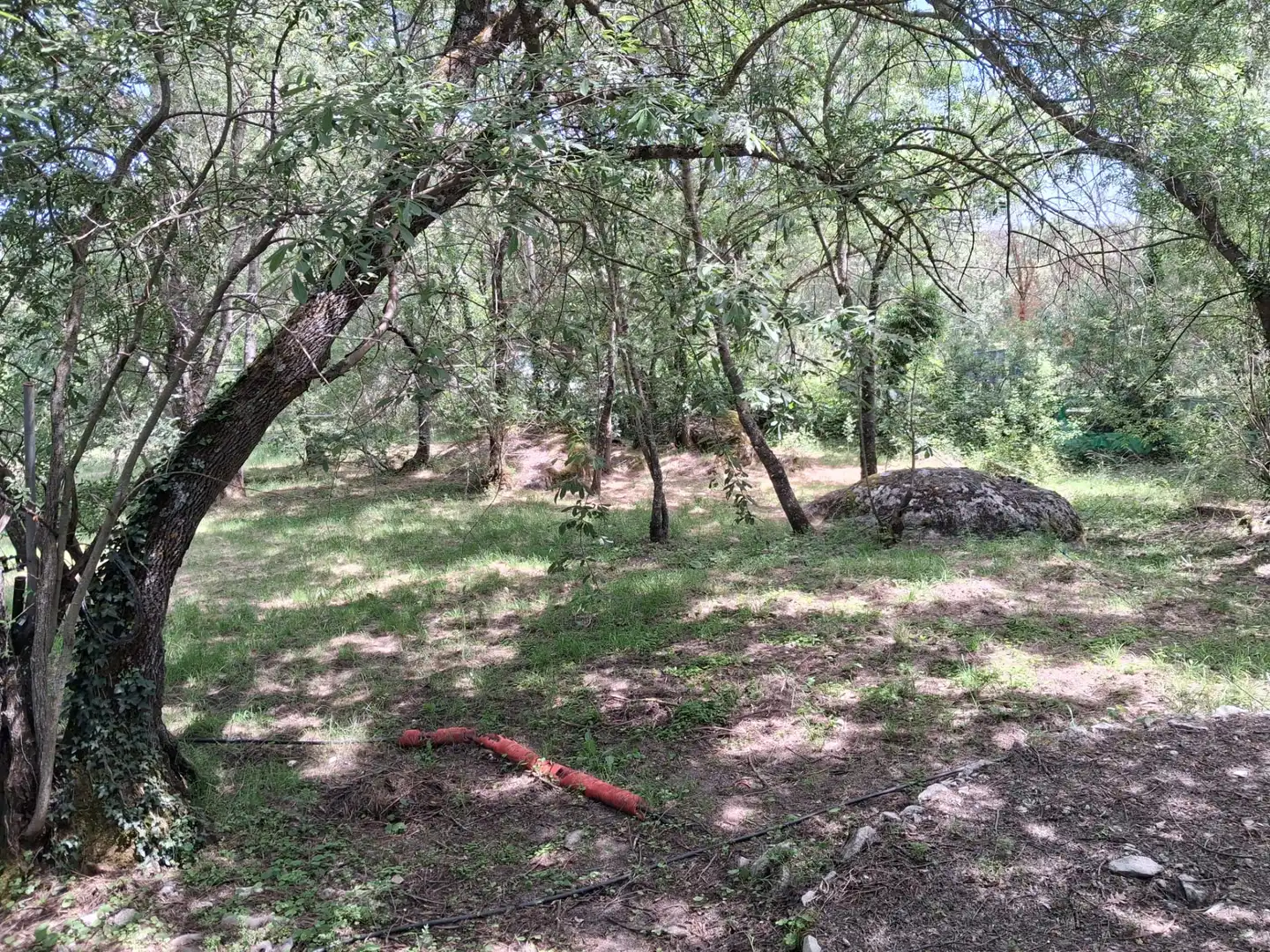 Rural land for sale in Calle del Concejo, imagen 11