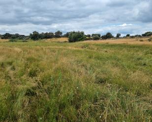Land for sale in Bermillo de Sayago