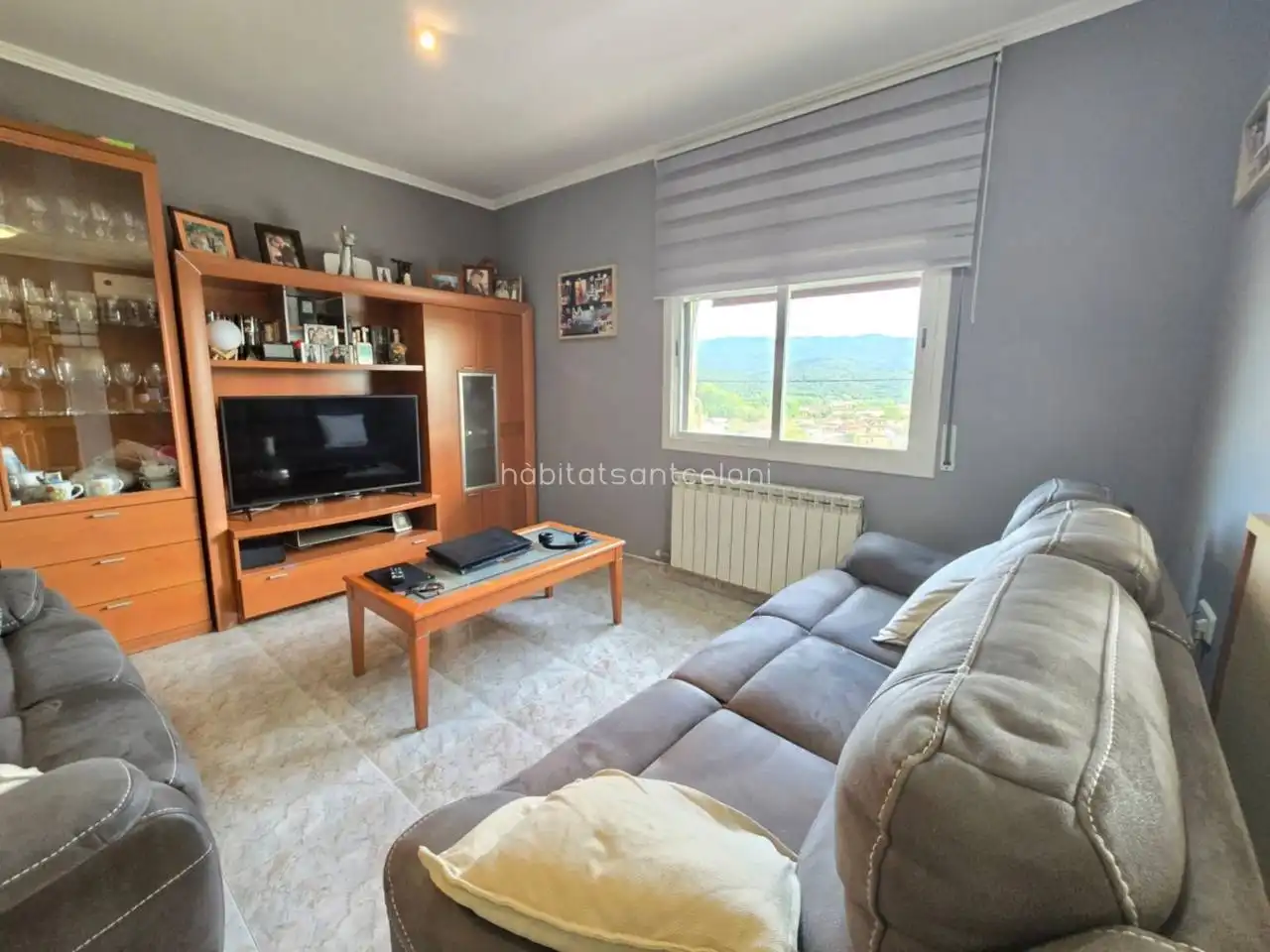 Sala d'estar de Casa o xalet en venda en Riells i Viabrea amb Aire condicionat, Calefacció i Jardí privat
