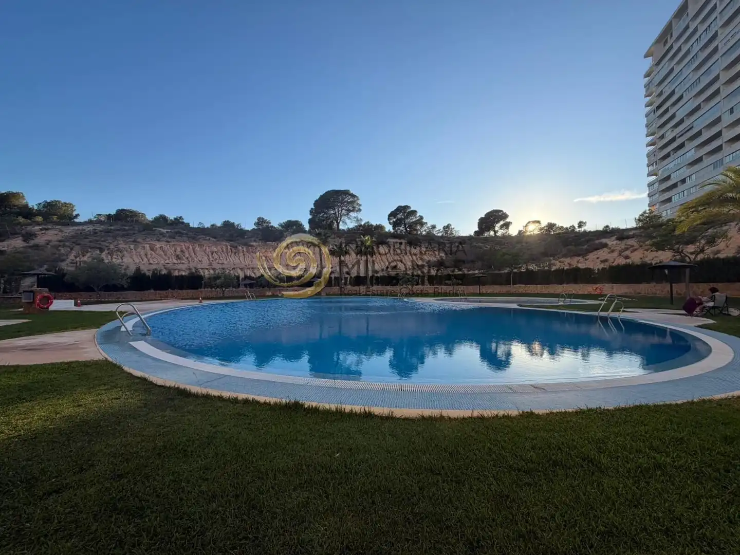 Swimming pool of Apartments for sale in Benidorm  with Private garden, Terrace and Storage room