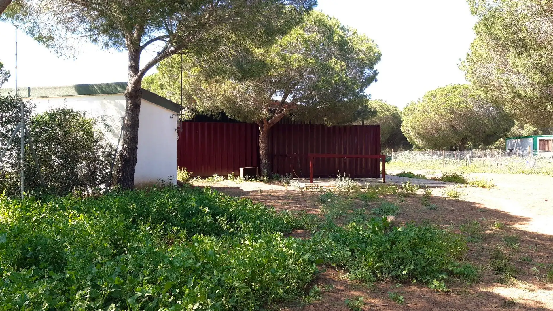 Jardín de Casa o chalet en venta en Puerto Real